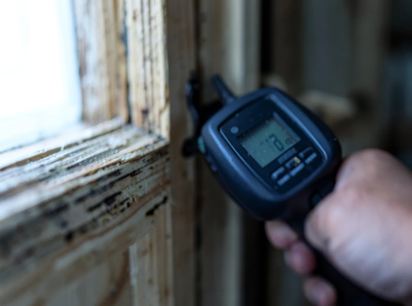 Ceiling Water Damage Repair in Saint Hedwig, TX